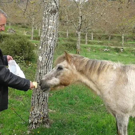 Casa de hóspedes Naiades